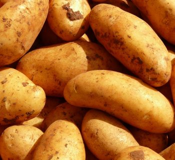 potatoes-5796_1920