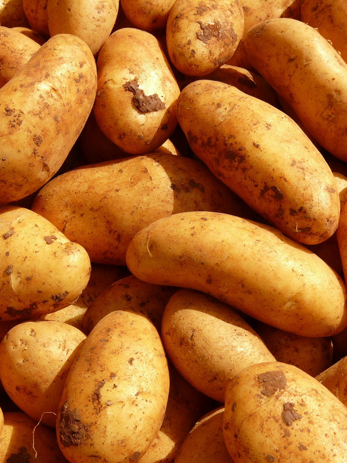 potatoes-5796_1920