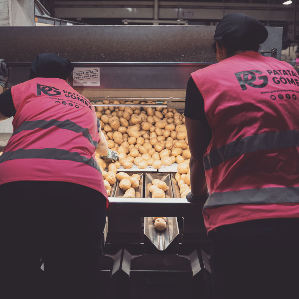 Plan de Igualdad de Patatas Gómez