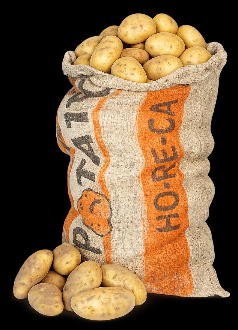 Saco 25 kg. Horeca