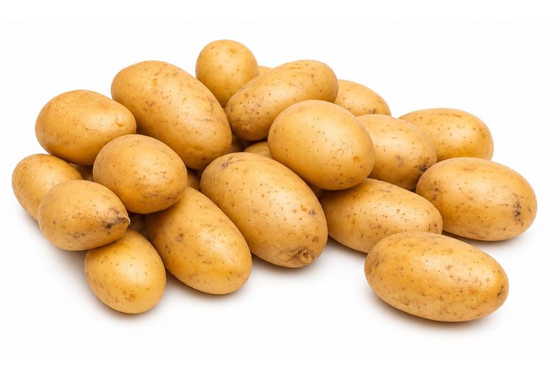 Variedad Orchestra. Patatas Gómez