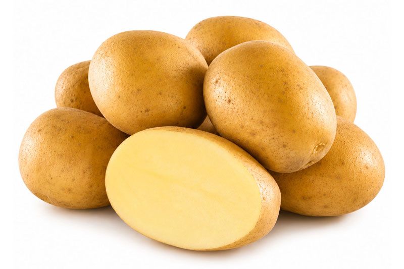 Variedad Soprano. Patatas Gómez