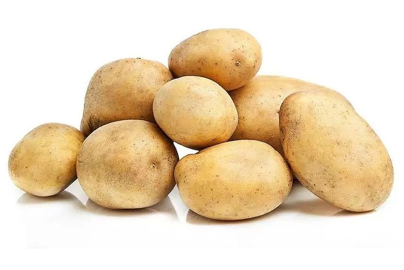 Variedad Agria. Patatas Gómez