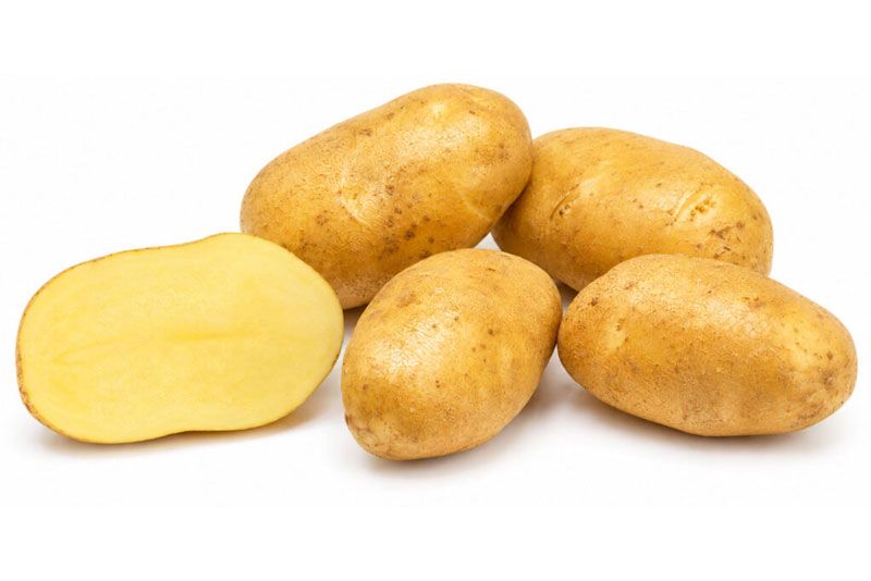 Variedad Babylon. Patatas Gómez