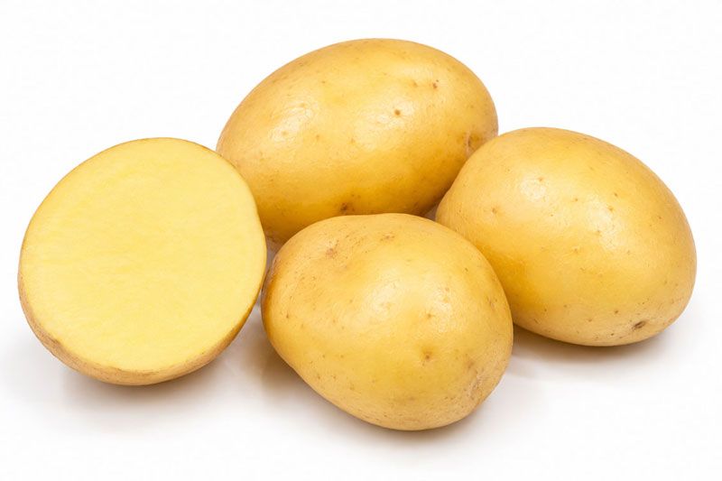Variedad Caesar. Patatas Gómez