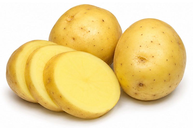 Variedad Corinna. Patatas Gómez