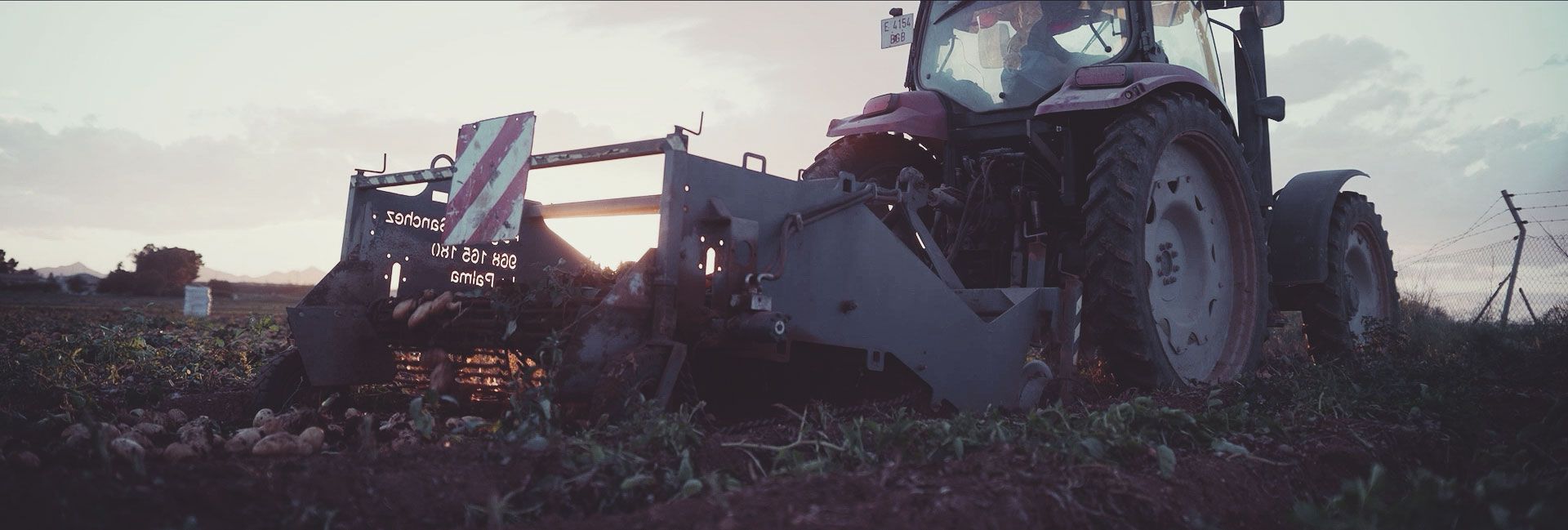 Trabajando la tierra