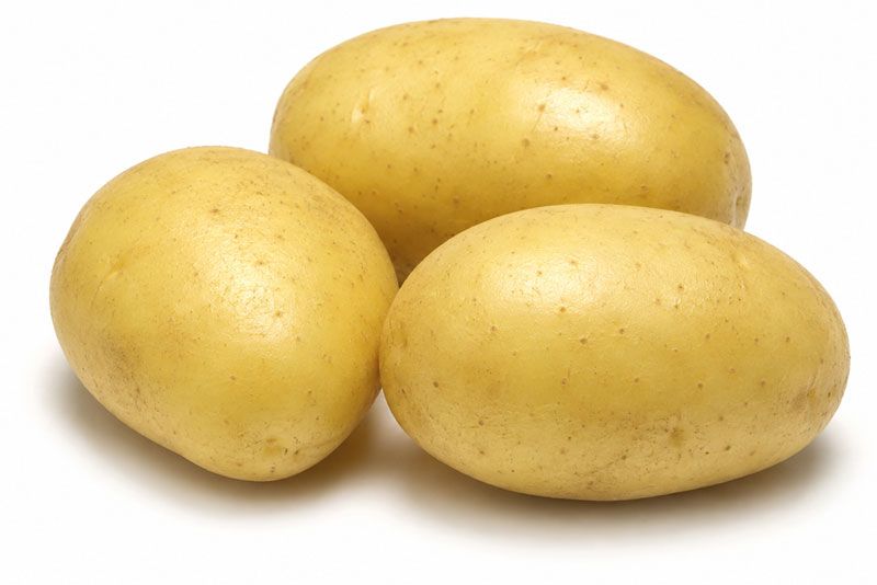 Variedad Lucinda. Patatas Gómez