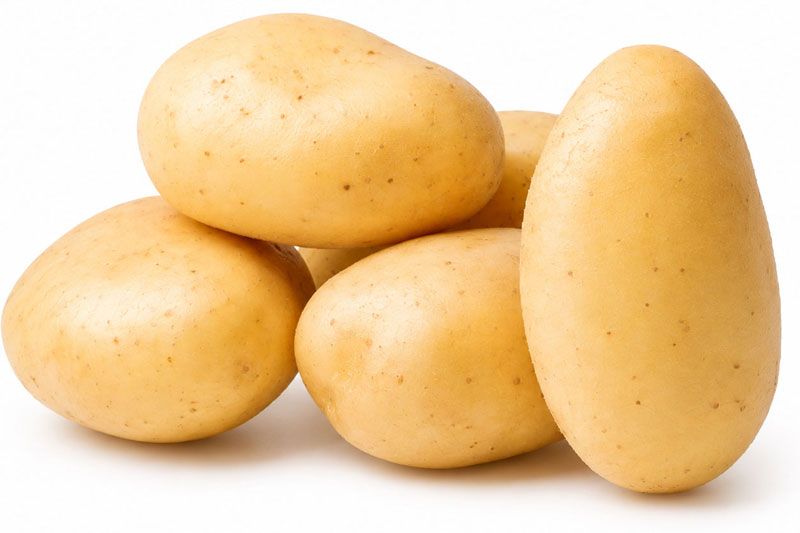 Variedad Monalisa. Patatas Gómez