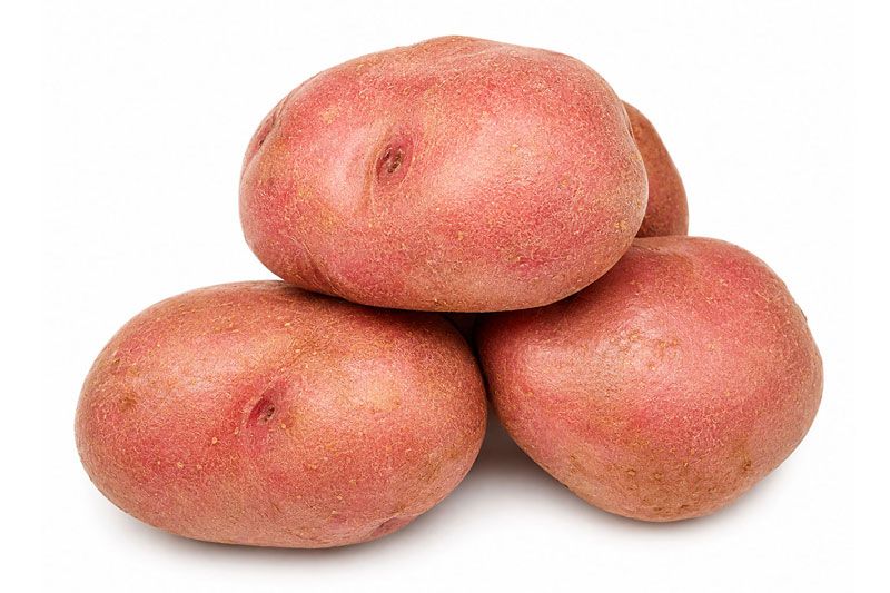 Variedades Mozart. Patatas Gómez