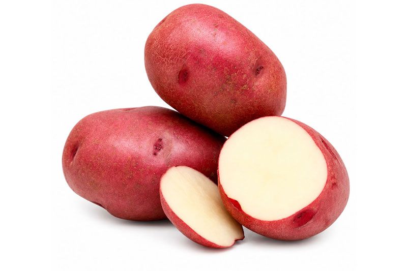 Variedad Rudolph. Patatas Gómez